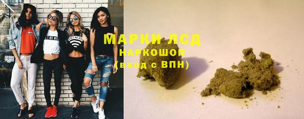 шишки Лагань