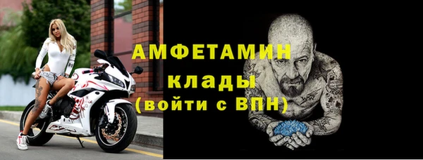 шишки Лагань