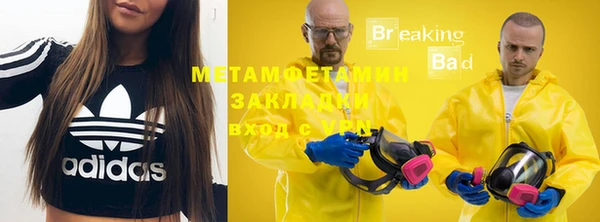 шишки Лагань