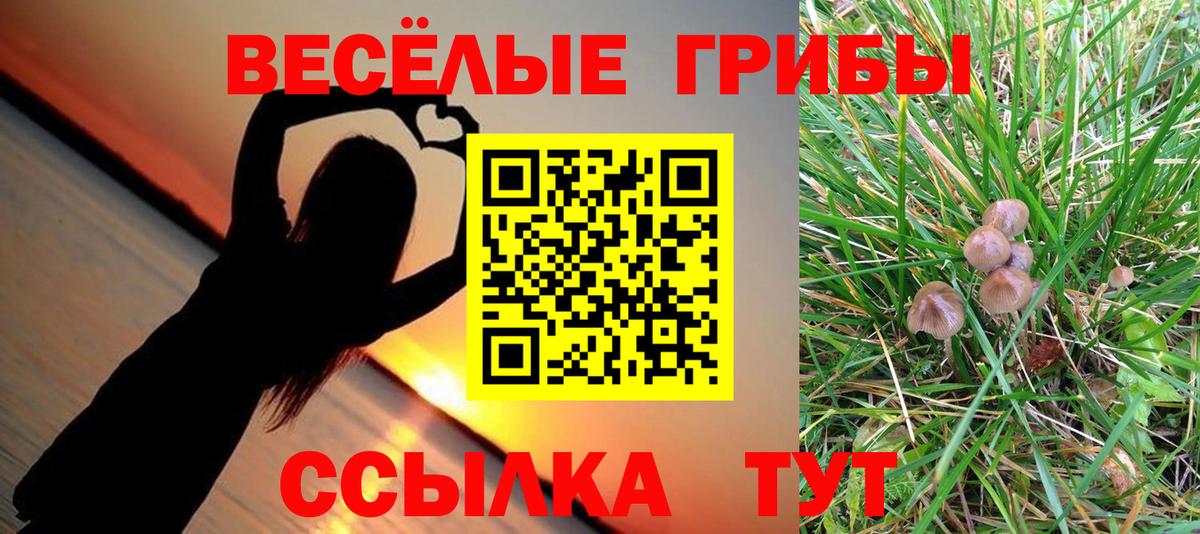Галлюциногенные грибы GOLDEN TEACHER Соль-Илецк