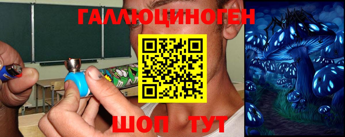 Псилоцибиновые грибы мицелий  купить  цена  Соль-Илецк  Вход с VPN 
